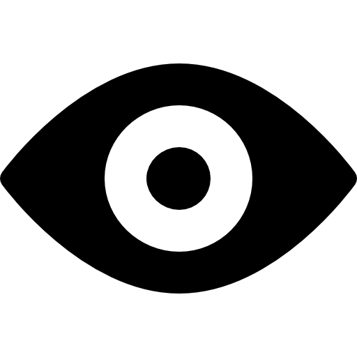 Our Vision Icon